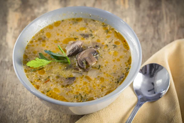 Hungarian Mushroom Soup — Stock Photo, Image