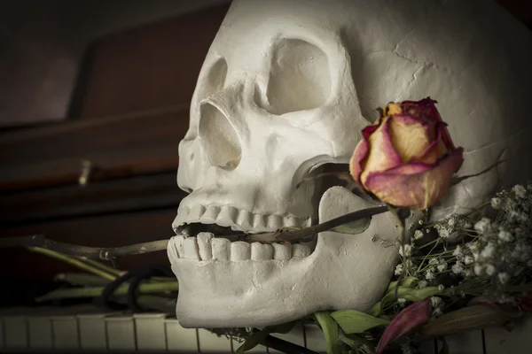 Cráneo Rose Piano —  Fotos de Stock