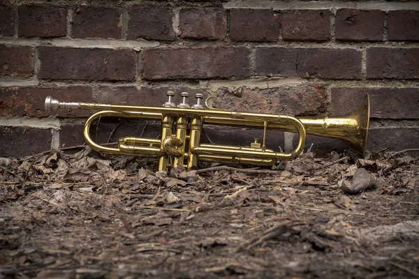 Trumpet gatan Jazz — Stockfoto