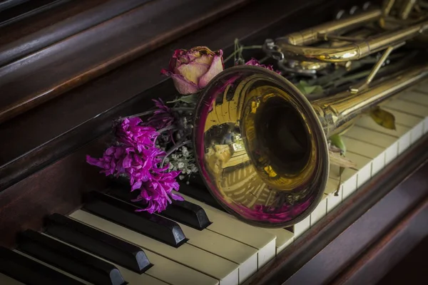 Flores trompete Piano — Fotografia de Stock