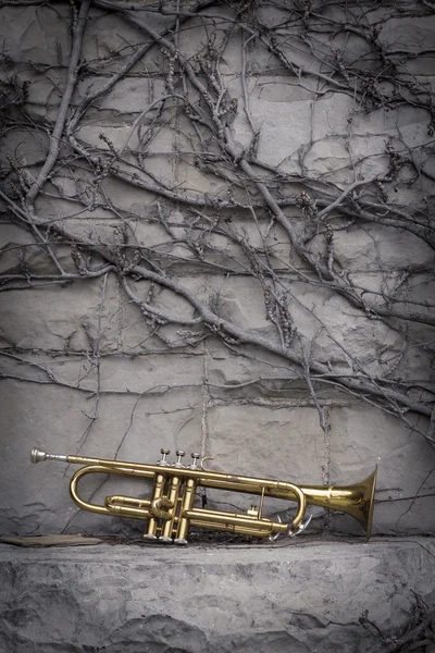 Труба стрит джаз — стоковое фото