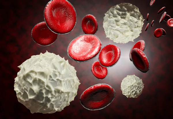 Red and White Blood Cells — Stock Photo, Image