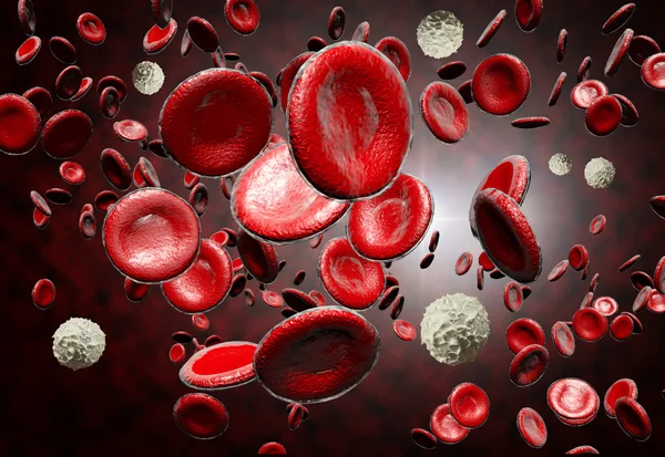 Red and White Blood Cells — Stock Photo, Image