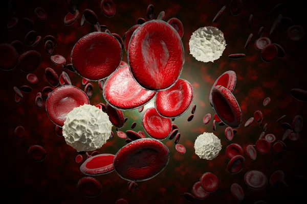 Red and White Blood Cells — Stock Photo, Image