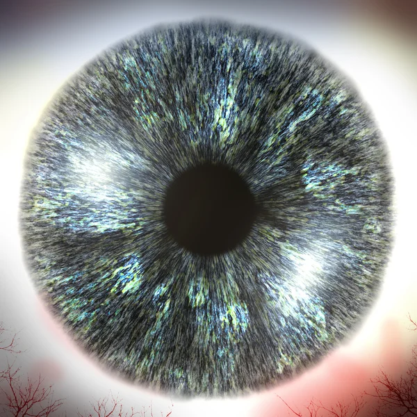 Eyeball Macro 3D ілюстрація — стокове фото