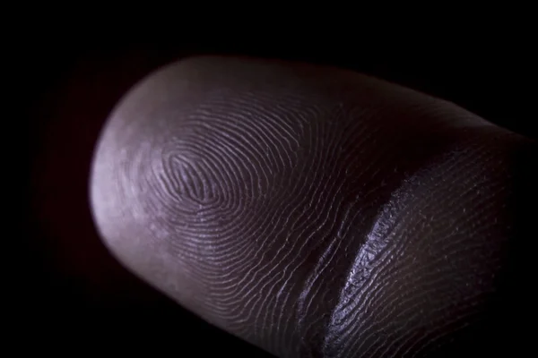 Fingerprint Pointer Finger — Stock Photo, Image