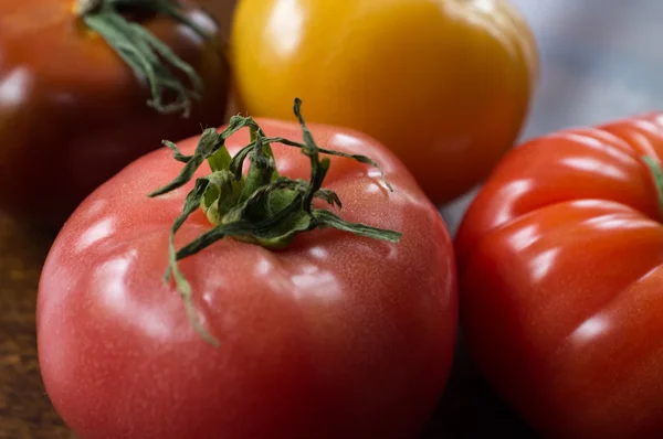 Verscheidenheid erfstuk tomaten — Stockfoto