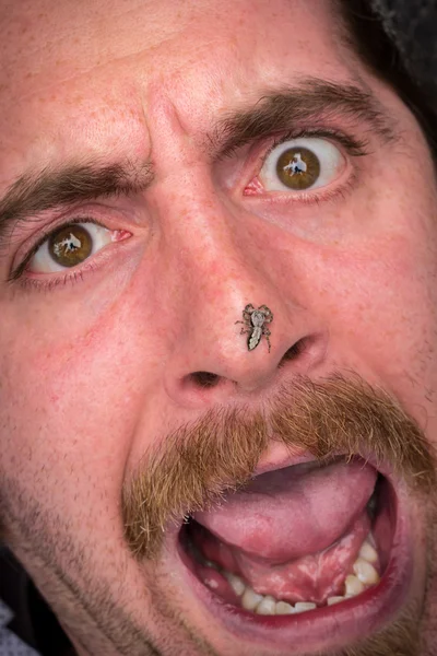 Arachnophobia Man rädd — Stockfoto