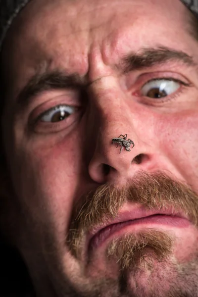 Arachnophobie Homme effrayé — Photo
