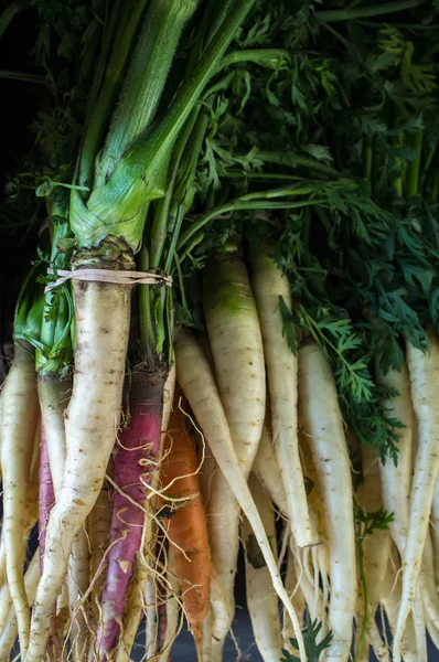 Carottes biologiques colorées — Photo