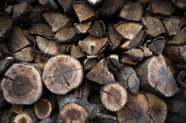 Yığılmış yakacak odun açık havada
