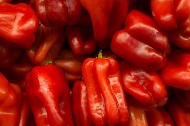 Kırmızı Çan Biberleri