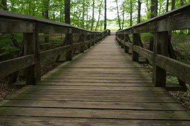 Ahşap köprü Woods