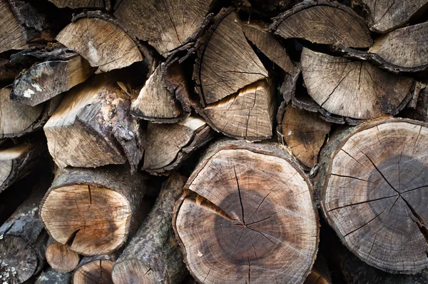 Bois de chauffage empilé à l'extérieur — Photo