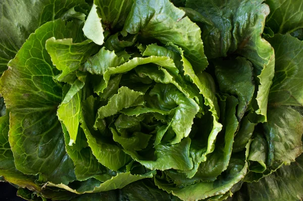 Organic Collard Greens — Stock Photo, Image