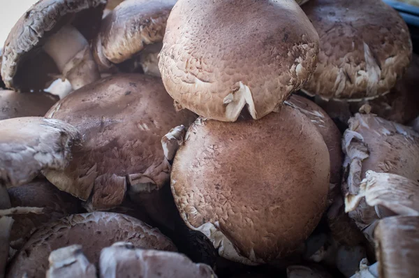 Grzyby Portobello organiczne — Zdjęcie stockowe