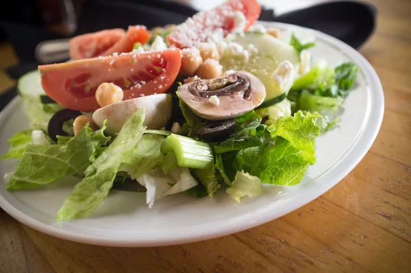 Salada de jardim orgânica — Fotografia de Stock