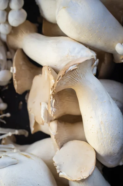 Organiczne Mikołajkowy grzyby — Zdjęcie stockowe