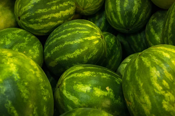 Stor økologisk vandmelon - Stock-foto