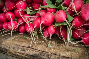 Organik kırmızı turp