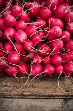 Organik kırmızı turp