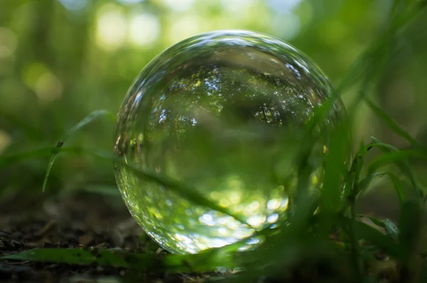 Bola de cristal natureza — Fotografia de Stock