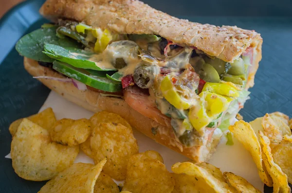 Todo Sub Sandwich —  Fotos de Stock