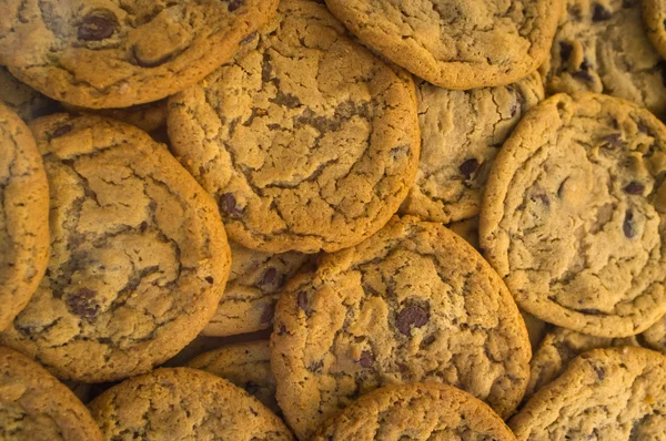 Chocolate Chip Cookies — Stock Photo, Image