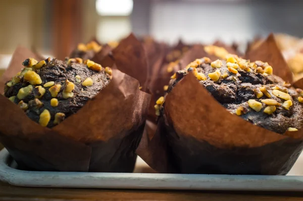 Chocolate Walnut Muffins — Stock Photo, Image