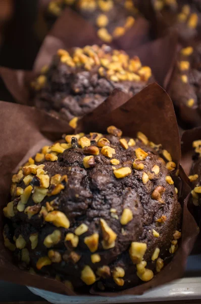 Schokoladen-Walnuss-Muffins — Stockfoto