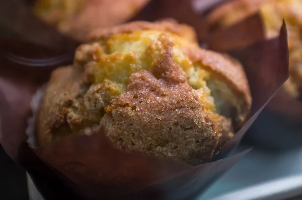 Frische Mais-Muffins — Stockfoto