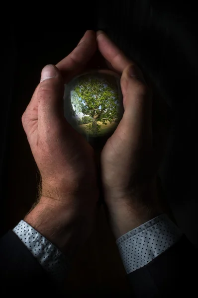 Kristallen bol handen boom — Stockfoto