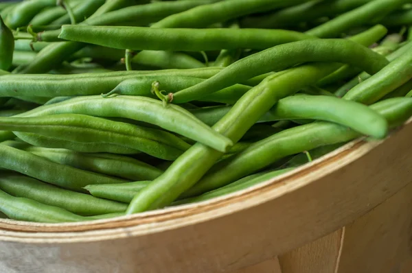 Ekologiska gröna bönor — Stockfoto