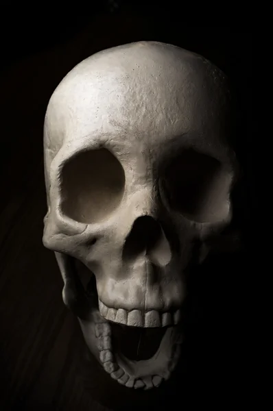 Scary Halloween Skull — Stock Photo, Image