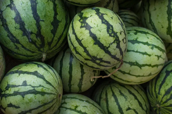 Landmænd markedsfører vandmelon - Stock-foto