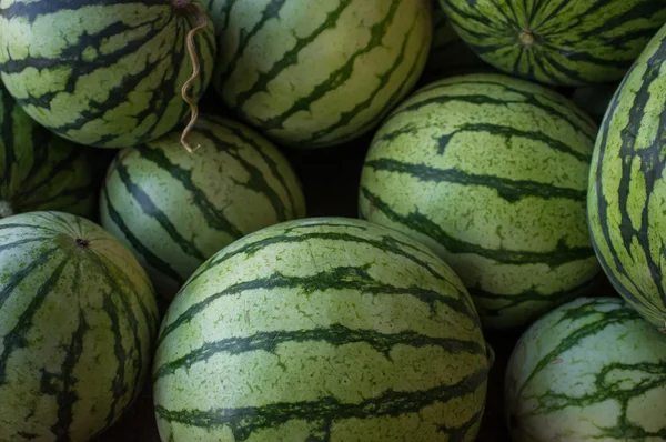 Landmænd markedsfører vandmelon - Stock-foto