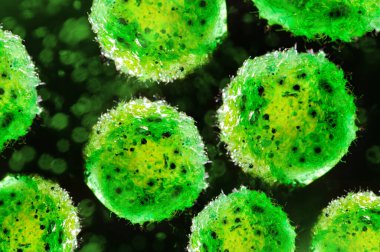 Yeşil tek hücreli klorella algleri mikroskobik kavramsal 3 boyutlu resimleme