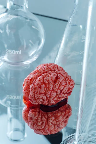 Science lab bloody human brain for science experiments and education on anatomy