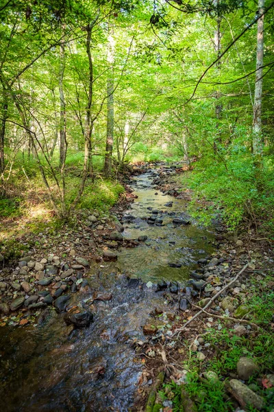 Forest Stream Water Frozen Time Splashing Mossy Rocks — Stock Photo, Image