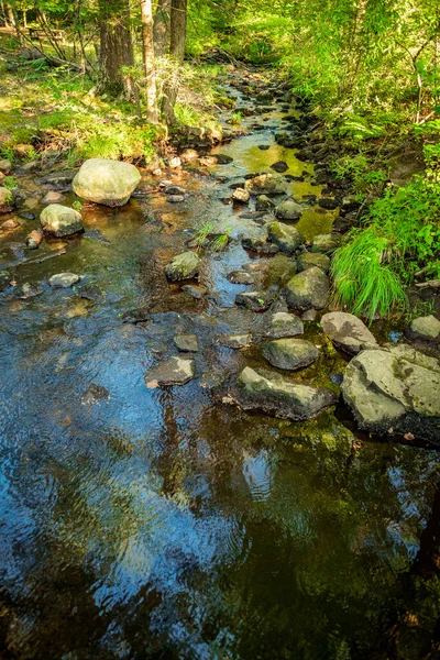 Forest Stream Water Frozen Time Splashing Mossy Rocks — Stock Photo, Image