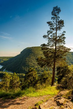 Dağın manzarası. Tammany Dağı 'nın tepesinden Minsi Delaware su geçidine yakın.