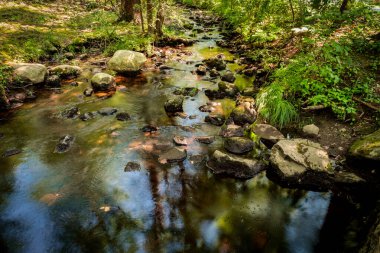 Yaz günü orman suyu hareket bulanıklığı dalgalarıyla