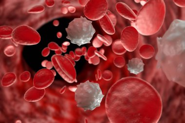 Healthy human red and white bloodcells macro science 3D illustration clipart