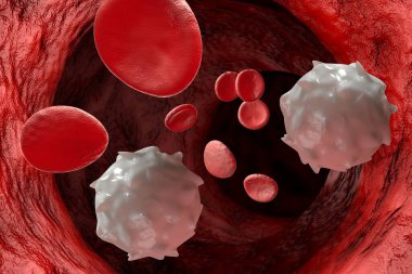 Sağlıklı insan kırmızı ve beyaz kan hücreleri makro bilim 3D illüstrasyon