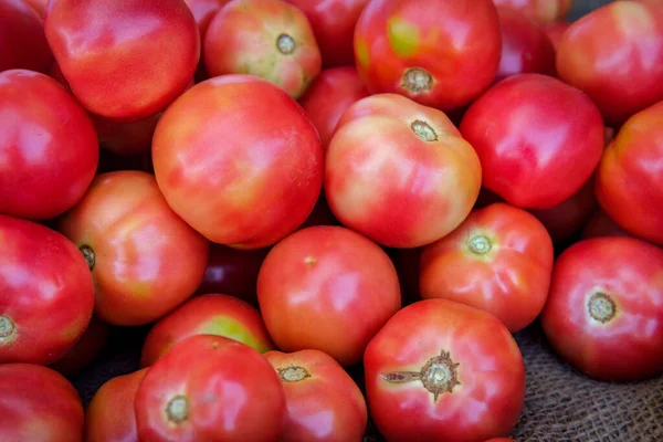 Mercato Degli Agricoltori Grande Mucchio Pomodori Rossi Vendita — Foto Stock