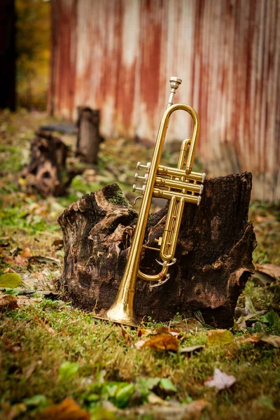 Trombeta Instrumento Jazz Outono Sozinha Natureza — Fotografia de Stock