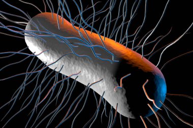 Escherichia coli ayrıca Ecoli bakteri sağlığı bilim konsepti olarak da bilinir.