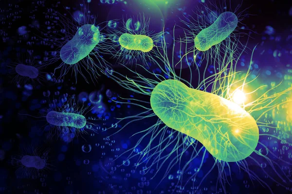 Escherichia Coli También Conocido Como Ecoli Bacteria Salud Ciencia Concepto —  Fotos de Stock