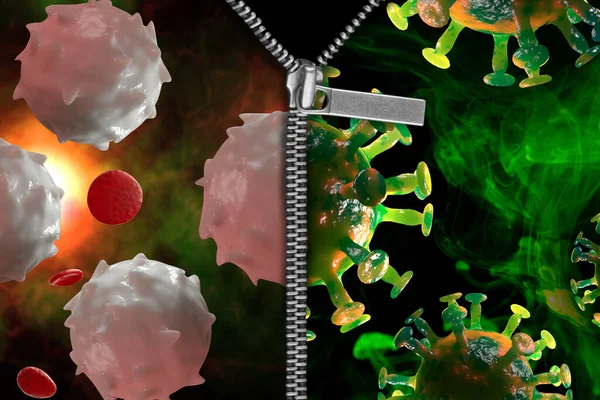 Zipper reveals healthy white blood cells ready to fight off the coronavirus epidemic as symbol for immune system 3D Illustration