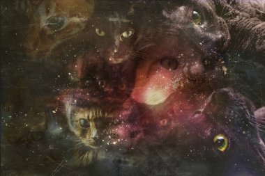 Yıldız manzaralı sevimli kedi kolajı dış uzay arkaplan resimlemesi